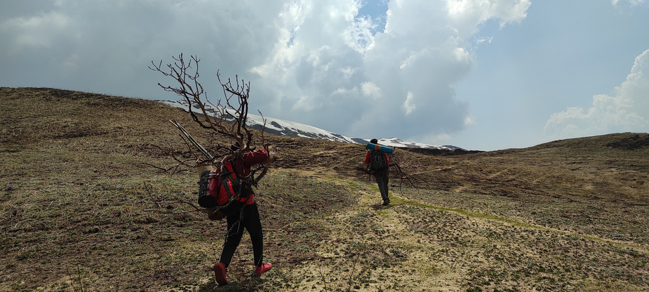 Trek activity