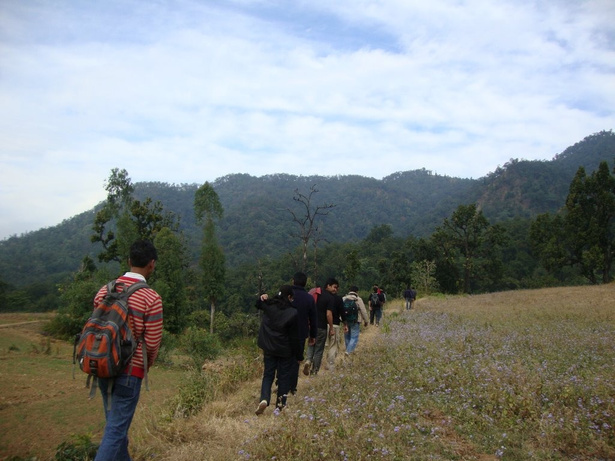 Image 7